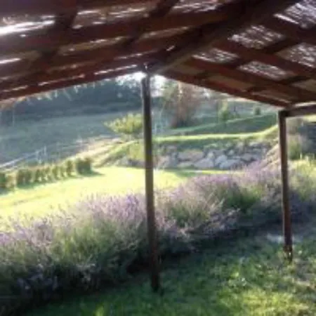 Πανσιόν In Holiday House - Charming With 6 Bedrooms In Umbria - Italy *